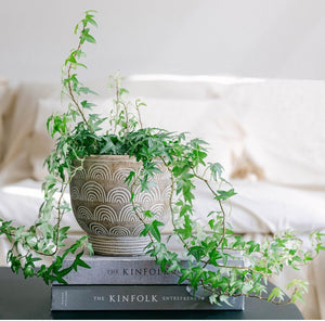 Cement Flower Pot with Rainbow Pattern