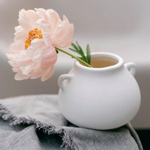 Wide Rounded White Ceramic Vase with Small Handles