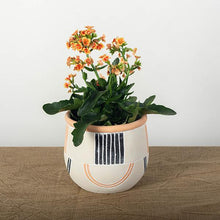 Load image into Gallery viewer, Cream, Black, Orange and White Cement Pot with Various Patterns
