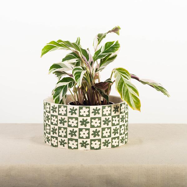 Cement Flower Pot, Checkers and Flowers, Green