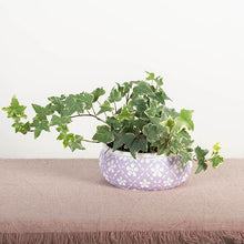 Load image into Gallery viewer, Lavender Cement Flower Pot with White Flowers, Low
