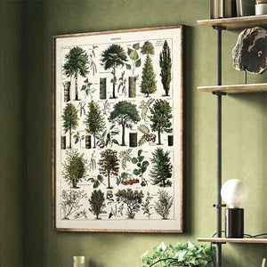 Tree Framed Print